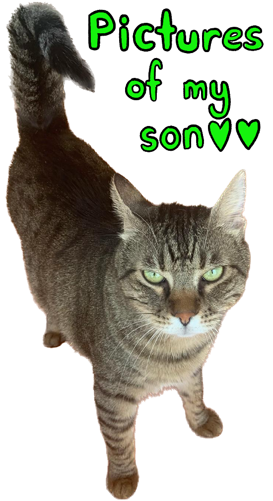 Clickable Image